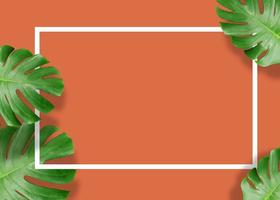 monstera verde tropicale lascia la natura su sfondo arancione con design a cornice foto