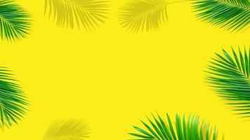 composizione estiva. foglie di palma tropicali su sfondo giallo. concetto estivo. foto