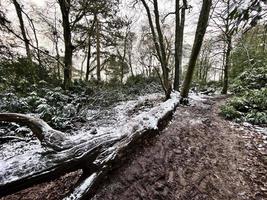 una vista della campagna dello Shropshire a hawkstone in inverno foto