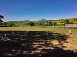 una vista della campagna dello Shropshire vicino alla chiesa di stretton foto