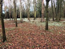 una vista della campagna dello Shropshire vicino a Shrewsbury foto