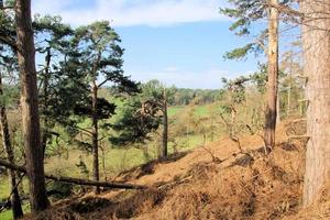 una vista della campagna dello Shropshire vicino a Shrewsbury foto