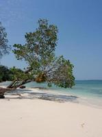 una delle spiagge paradisiache di Havelock. isole andamane, india. foto