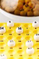 primo piano palle del gioco del bingo. immagine verticale. foto