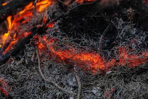 in un incendio boschivo brucia rami e alberi macro foto