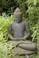 statua di un buddha foto