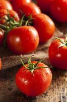 pomodori rossi maturi biologici
