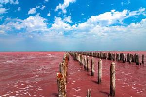 lago salato rosa esotico e cielo blu con nuvole. foto