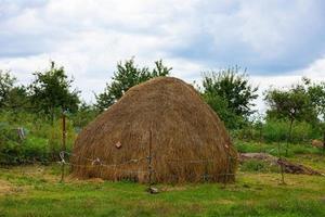 pagliaio, una montagna di paglia, erba secca. azienda agricola e allevamento, raccolta. foto