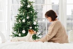 l'inquadratura laterale di una giovane donna bruna in un maglione marrone sciolto tiene le zampe del cane, si siedono insieme a un letto comodo contro il firtee decorato durante il natale e il nuovo anno. finestra sullo sfondo foto