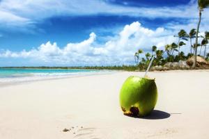 cocktail estivo al cocco sulla spiaggia. giornata di sole nell'isola di attualità. foto