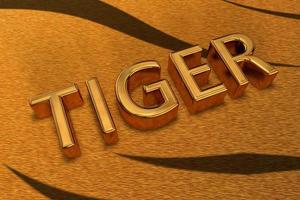 Testo 3d con la parola tigre che significa il simbolo del 2022 secondo il calendario orientale foto