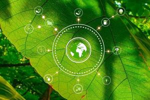 esg icona concetto ambientale e governance sostenibile su sfondo verde. foto