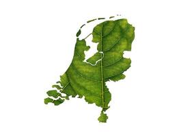 mappa dei Paesi Bassi fatta di foglie verdi sul concetto di ecologia del fondo del suolo foto