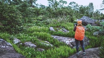 donna asiatica viaggio natura. viaggiare rilassati. camminare studia il sentiero natura nella foresta. fotografia di fiori foto