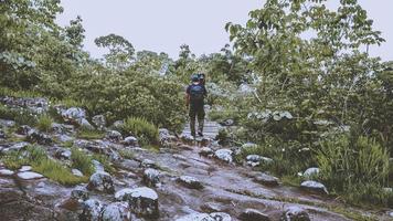 fotografo uomo asiatico viaggiare fotografia natura. viaggio relax in vacanza passeggiata nella foresta. foto