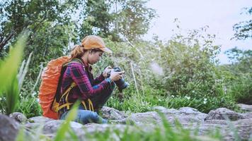 donna asiatica viaggio natura. viaggiare rilassati. cammina studia il sentiero natura nel bosco foto