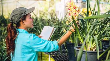 la ragazza nota i cambiamenti nella crescita dell'orchidea nel giardino. bellissimo sfondo di orchidee in natura agricoltori foto