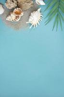composizione estiva. foglie di palma tropicali, conchiglie su sfondo blu. concetto estivo. disposizione piana, vista dall'alto, spazio di copia foto