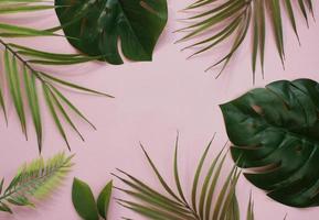 foglie di palma tropicali su sfondo rosa per il design. in stile estivo. immagine di alta qualità. vista dall'alto foto