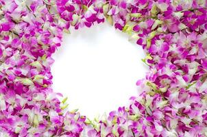fiori di orchidea rosa messi su sfondo bianco per il concetto di foto di fiori primaverili.