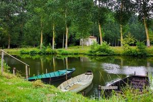 la palude di Poitevin foto