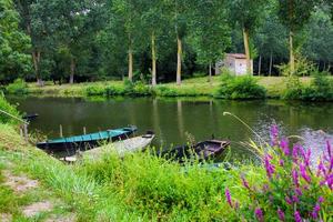 la palude di Poitevin foto