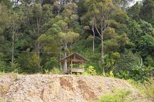 capanna di legno in mezzo alla foresta foto