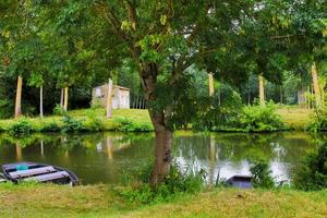 la palude di Poitevin foto