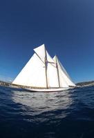 gara di barche a vela foto