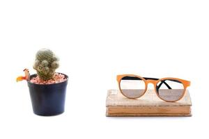 cactus, libro di carta grunge con occhiali arancioni isolati su sfondo bianco foto