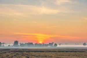 paesaggio rurale i campi all'alba nebbia mattutina e bel cielo foto