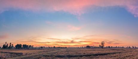 paesaggio rurale i campi all'alba mattina e bel cielo foto