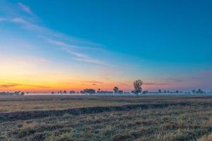 paesaggio rurale i campi all'alba nebbia mattutina e bel cielo foto