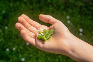 senti la primavera foto