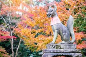 scultura di volpe nel santuario di fushimi inari-taisha nella stagione autunnale autunnale, situata a fushimi-ku. punto di riferimento e popolare per le attrazioni turistiche di kyoto. kyoto, Giappone, 27 novembre 2019 foto