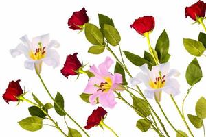 gigli. rosa di fiori colorati luminosi. sfondo floreale foto