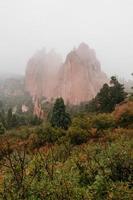 foresta con formazioni rocciose rosse foto