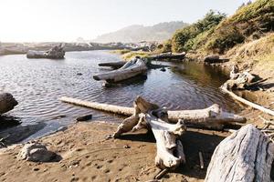 legni e acqua foto