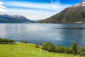 bellissima natura norvegia. foto
