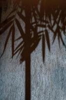 ombra di bambù astratta sul vetro smerigliato nel periodo di pioggia di notte con riflettori dall'esterno. questa immagine sembra un clima fresco e fresco e una sensazione di mistero o orrore allo stesso tempo. foto