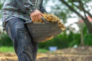 il giardiniere scava il terreno con la sua attrezzatura per il giardinaggio e prepara il terreno per la piantagione. foto