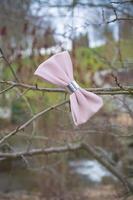 fiocco di capelli rosa foto