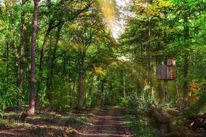 stand di caccia vicino a una foresta foto