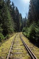 binario ferroviario nella foresta con la luce del sole foto