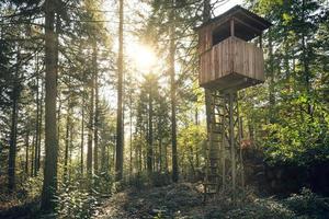 stand di caccia vicino a una foresta foto