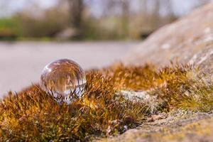 una palla di vetro su erba di pietra in primavera foto