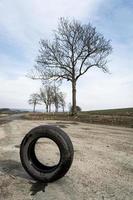 singolo pneumatico per auto foto