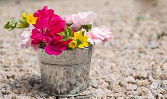 un solo secchio pieno di fiori in natura foto