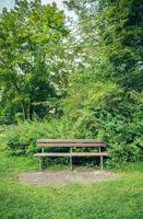 panca di legno nel parco cittadino foto